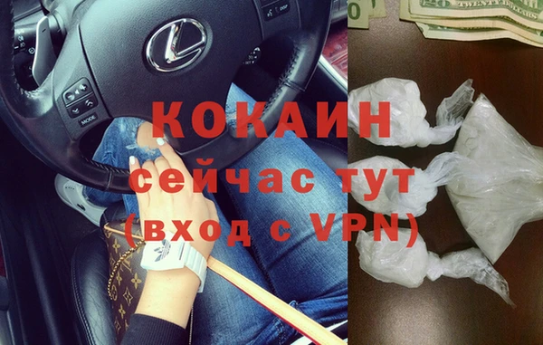 ПСИЛОЦИБИНОВЫЕ ГРИБЫ Вяземский