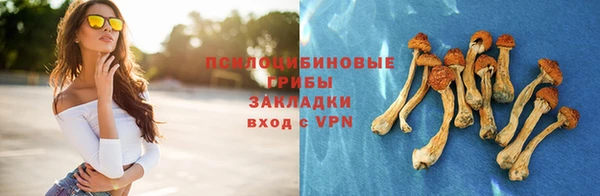 мяу мяу мука Вязники