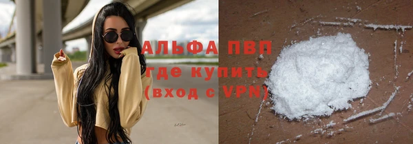 ПСИЛОЦИБИНОВЫЕ ГРИБЫ Вяземский