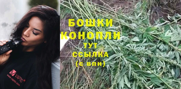 ПСИЛОЦИБИНОВЫЕ ГРИБЫ Вяземский