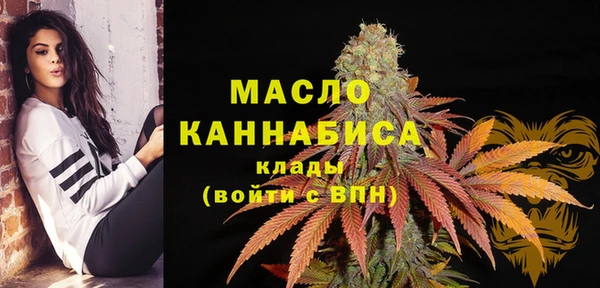 ПСИЛОЦИБИНОВЫЕ ГРИБЫ Вяземский