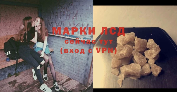 ПСИЛОЦИБИНОВЫЕ ГРИБЫ Вяземский