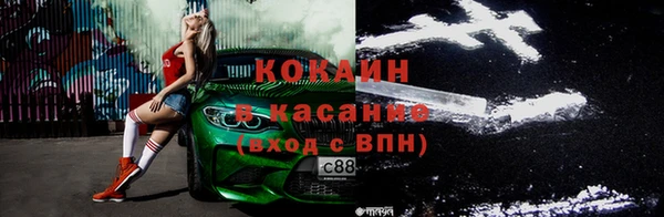ПСИЛОЦИБИНОВЫЕ ГРИБЫ Вяземский